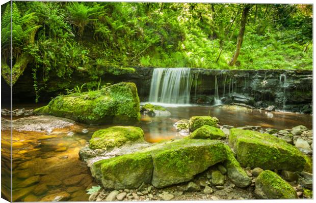 Secret Waterfall Canvas Print by Kevin Snelling