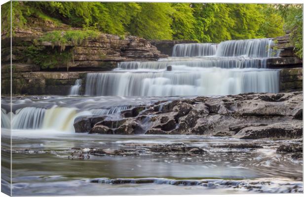 Majestic Aysgarth Falls Canvas Print by Kevin Snelling