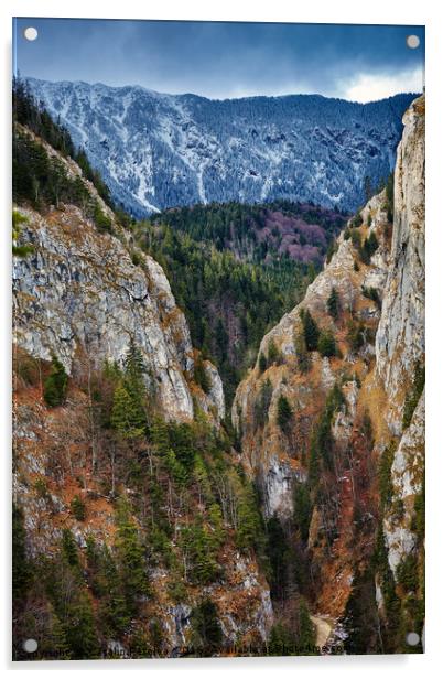 Canyon and mountain range Acrylic by Ragnar Lothbrok