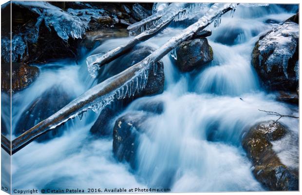 Frozen creek in winter Canvas Print by Ragnar Lothbrok