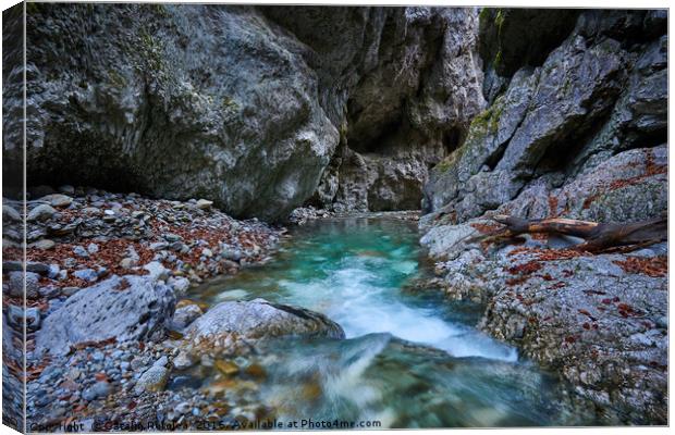 River in a canyon Canvas Print by Ragnar Lothbrok