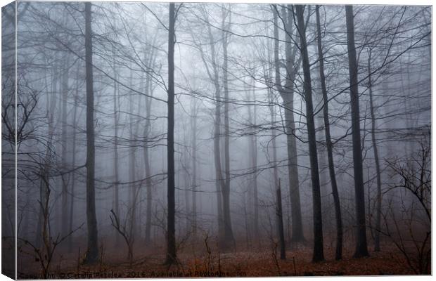 Spooky forest and mist Canvas Print by Ragnar Lothbrok