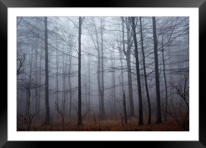 Spooky forest and mist Framed Mounted Print by Ragnar Lothbrok