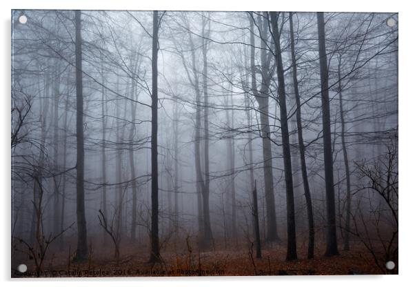 Spooky forest and mist Acrylic by Ragnar Lothbrok