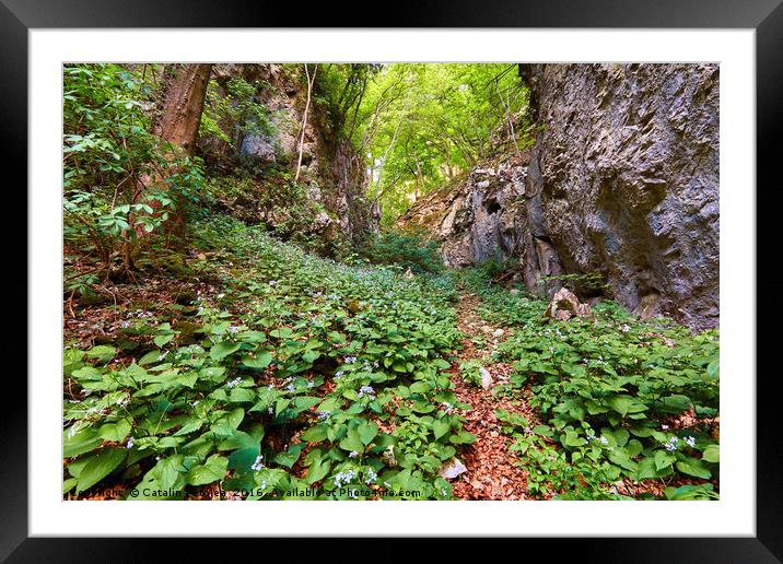 Hiking trail in the mountains Framed Mounted Print by Ragnar Lothbrok