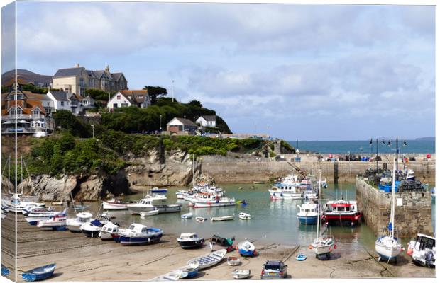 Newquay Harbour  Canvas Print by Anthony Michael 