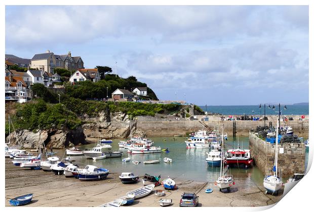 Newquay Harbour  Print by Anthony Michael 