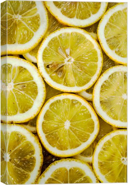 Slices of lemons Canvas Print by Igor Krylov