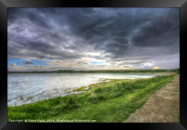 Lush Marshes Framed Print by Zahra Majid