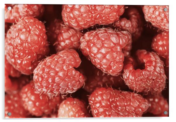 Red Raspberry Fruits Acrylic by Radu Bercan