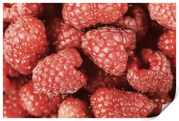Red Raspberry Fruits Print by Radu Bercan