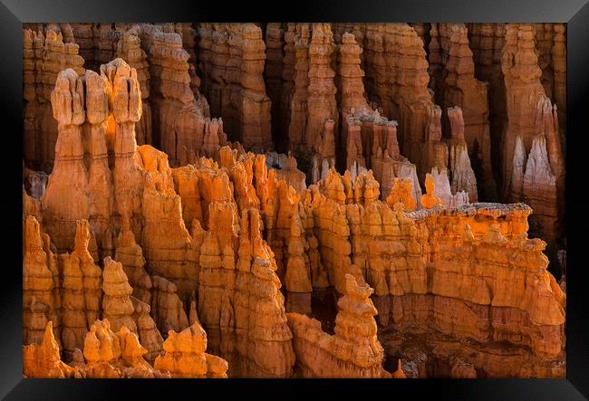 Hoodoos Bryce Canyon Framed Print by Matt Johnston