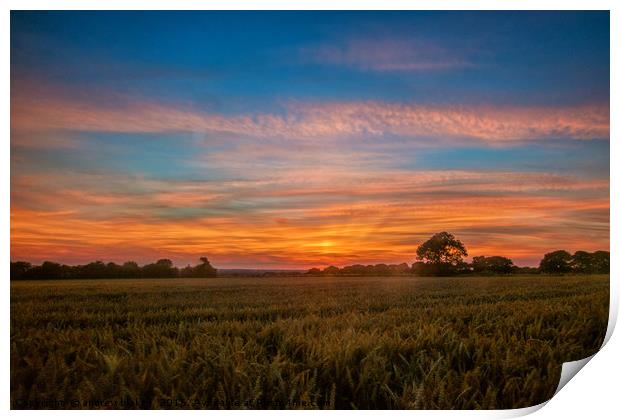 Majestic Sunset over Cleadon Cornfields Print by andrew blakey