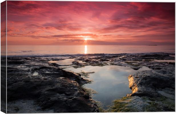 Sunrise over the Farne Isles Canvas Print by Anthony Simpson