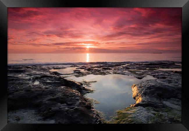 Sunrise over the Farne Isles Framed Print by Anthony Simpson