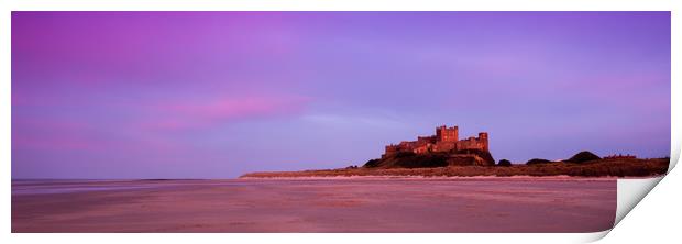 Bamburgh Castle and beach Print by Anthony Simpson