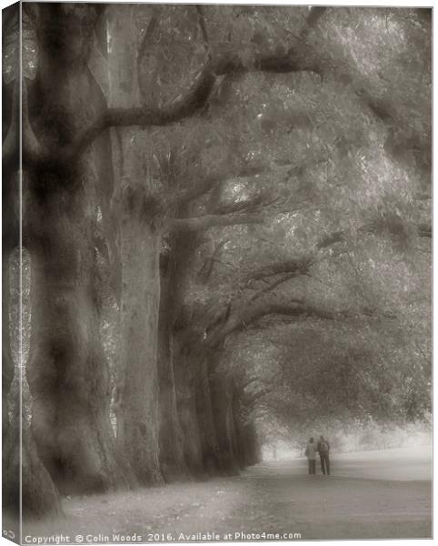 Walking in Hyde Park Canvas Print by Colin Woods