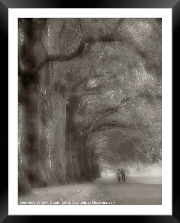 Walking in Hyde Park Framed Mounted Print by Colin Woods