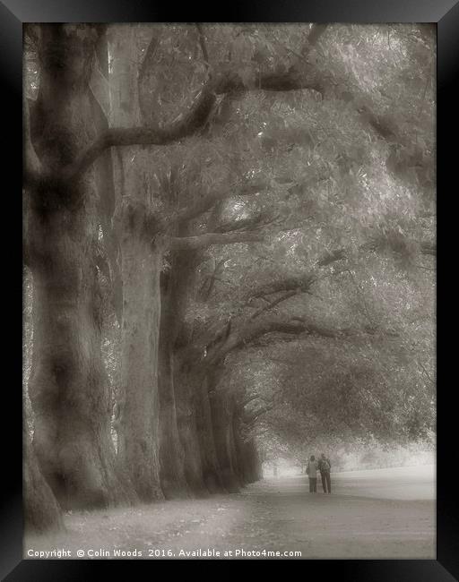Walking in Hyde Park Framed Print by Colin Woods