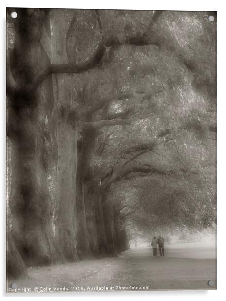 Walking in Hyde Park Acrylic by Colin Woods