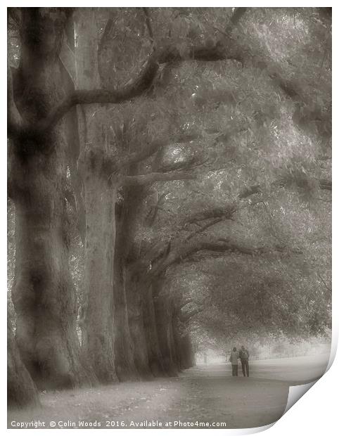 Walking in Hyde Park Print by Colin Woods