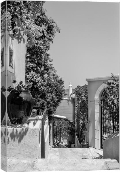 Pathway to Paradise in B&W............ Canvas Print by Naylor's Photography