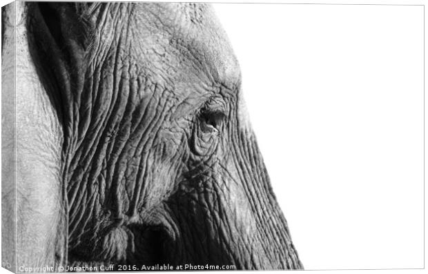 Elephant in profile. Canvas Print by Jonathon Cuff