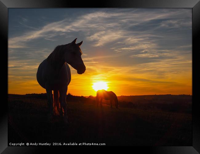 Horse silhouetted in sunset Framed Print by Andy Huntley