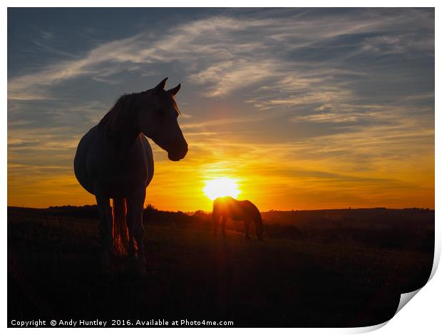 Horse silhouetted in sunset Print by Andy Huntley
