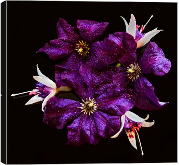 Clematis and Fuchsia Still Life Canvas Print by Sandi-Cockayne ADPS