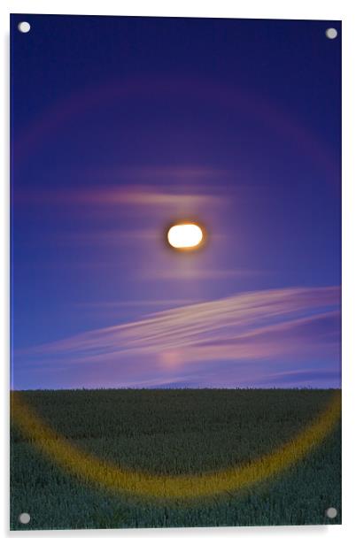 Full moon over the crop field Acrylic by Gabor Pozsgai