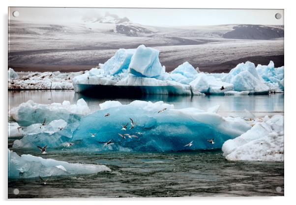 Icebergs and birds Acrylic by Brent Olson