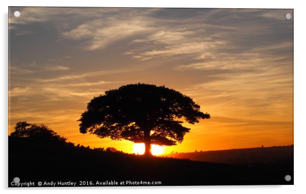 Oak Tree in Sunset Acrylic by Andy Huntley