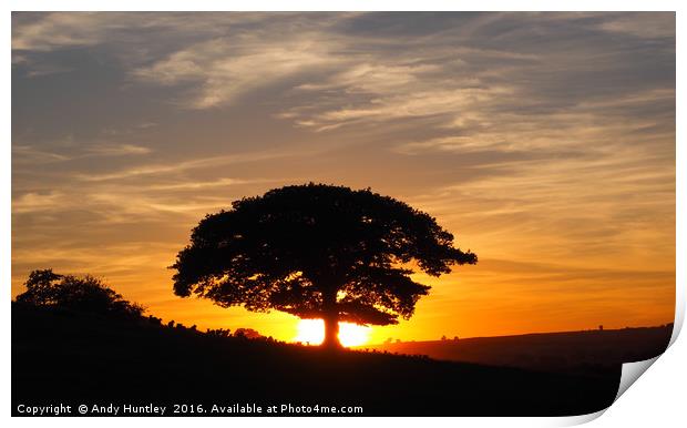 Oak Tree in Sunset Print by Andy Huntley