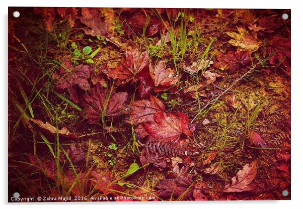 Autumn Red Acrylic by Zahra Majid