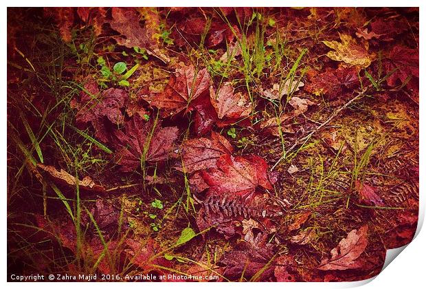Autumn Red Print by Zahra Majid