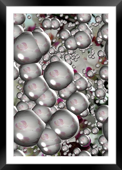 Orchid bubble reflections Framed Mounted Print by Ruth Hallam