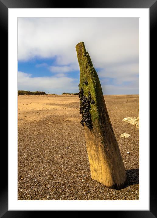 BEACH GROYNE  Framed Mounted Print by Kevin Snelling