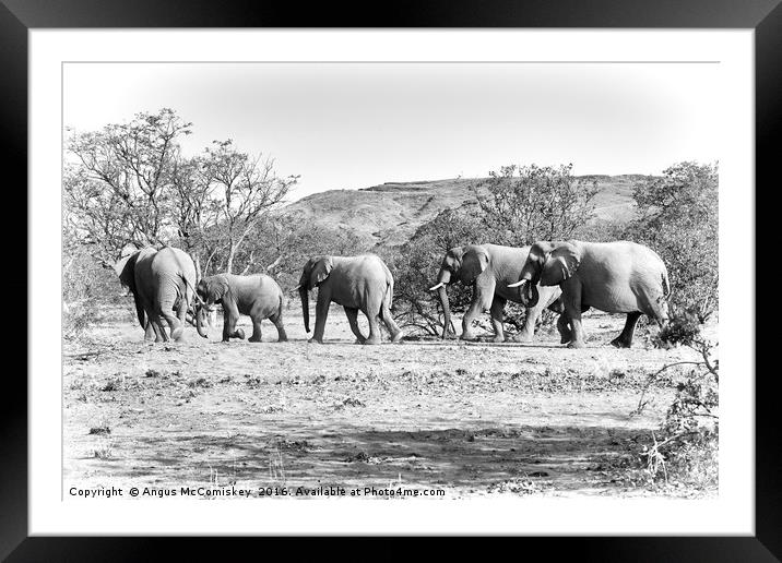 Desert elephants  Framed Mounted Print by Angus McComiskey