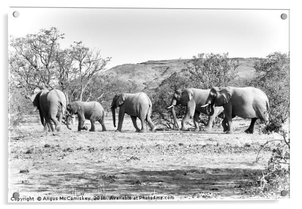 Desert elephants  Acrylic by Angus McComiskey