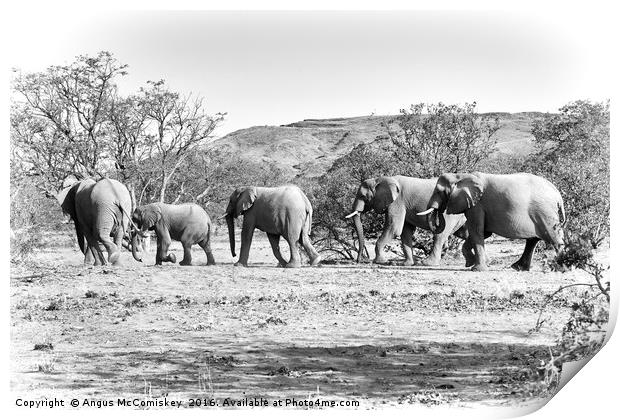 Desert elephants  Print by Angus McComiskey