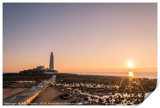 Sunrise at St Mary's Lighthouse Print by Robin Purser