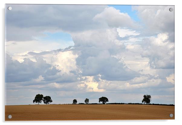 before the storm Acrylic by graham young