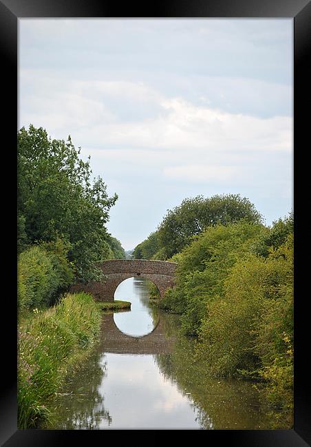 bridge over the aylesbury arm Framed Print by graham young