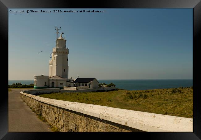 St Catherine's Lighthouse Framed Print by Shaun Jacobs