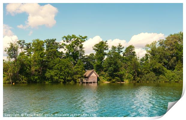 House by the lake  Print by Tanja Riedel