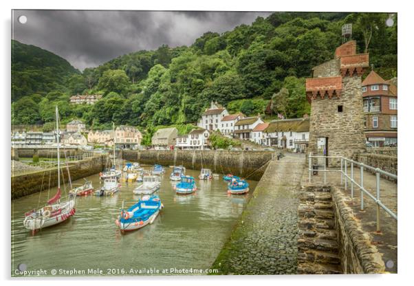 Lynmouth Harbour Acrylic by Stephen Mole
