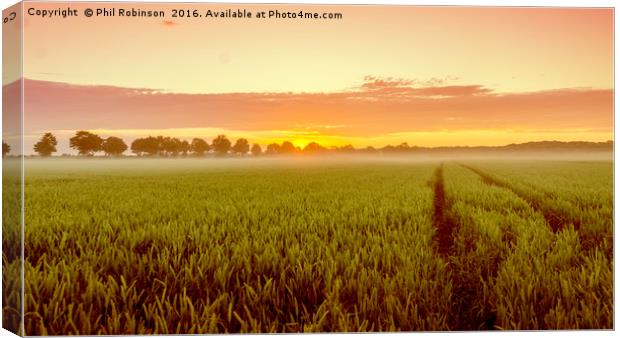 Early morning sunrise in Dusseldorf, Germany Canvas Print by Phil Robinson