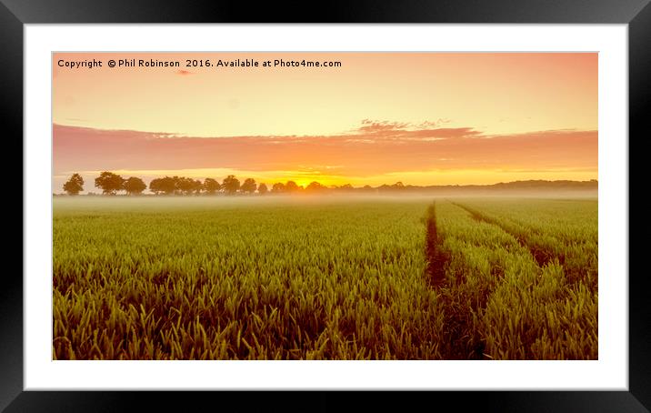 Early morning sunrise in Dusseldorf, Germany Framed Mounted Print by Phil Robinson