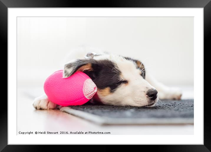 Sleeping Border Collie Puppy Framed Mounted Print by Heidi Stewart